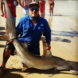 Meet your Posher, Louie